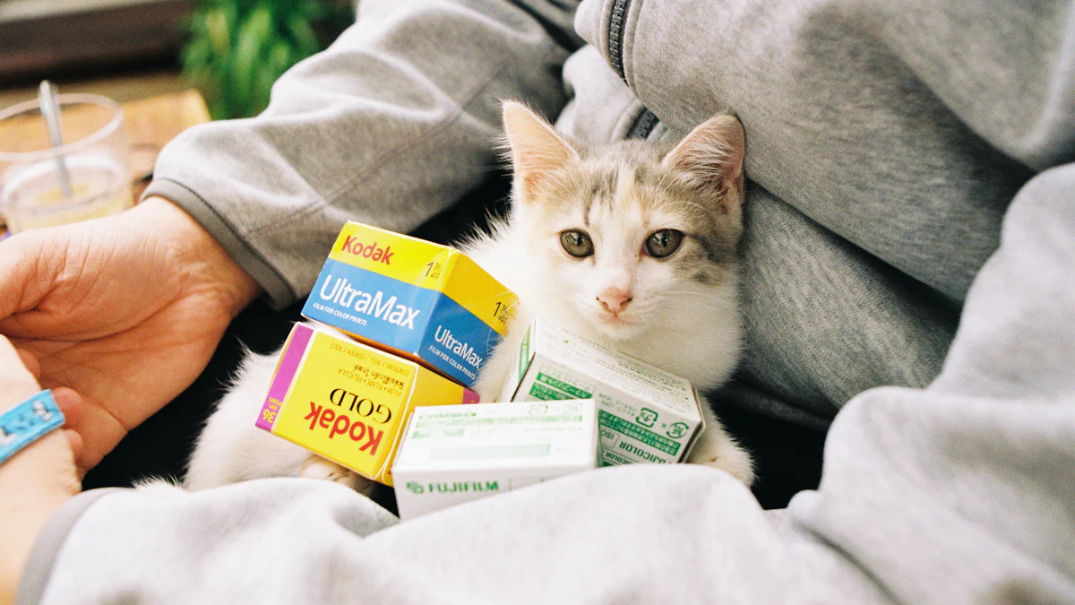 How to Properly Store and Handle PET Film for DTF Printing
