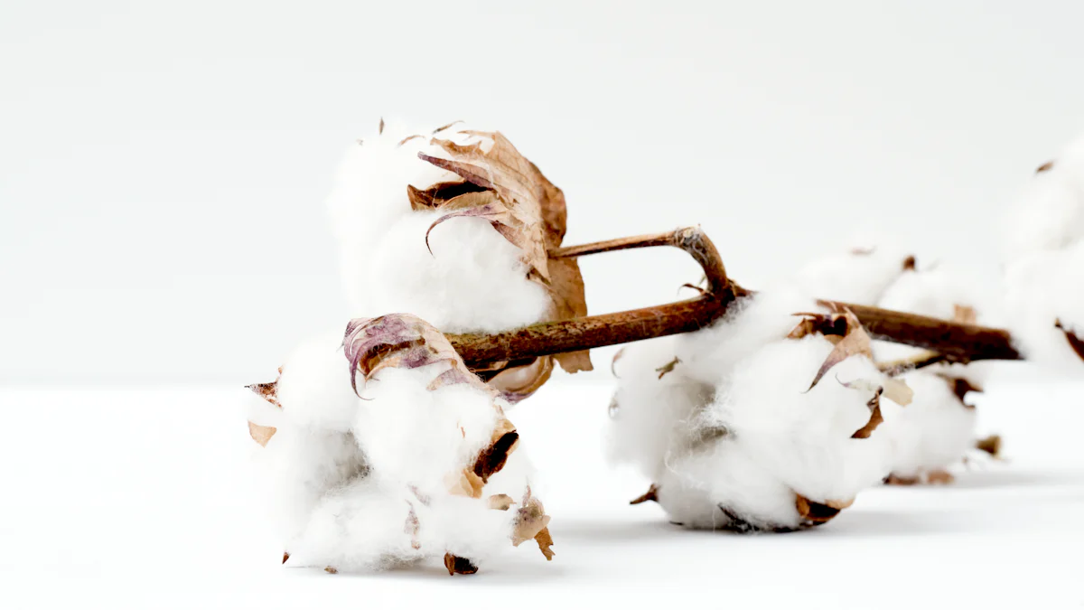 Best Applications for DTF Printing in Cotton Polyester Blends